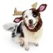 Zoo Snoods Reindeer Dog Costume - Neck and Ear Warmer Headband Protector (Medium)