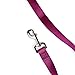 Youly Nylon Dog Leash Berry 6-ft Long 1-in Wide