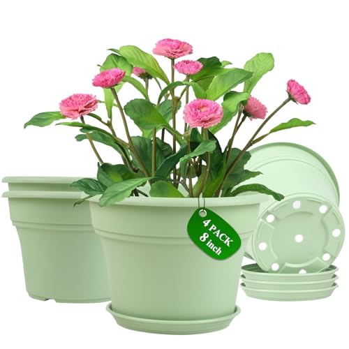 8 Inch Plastic-Flower Pot-for-Indoor Plants, 4 Pack Large Outdoor Planter Pot with Drainage Holes & Saucers