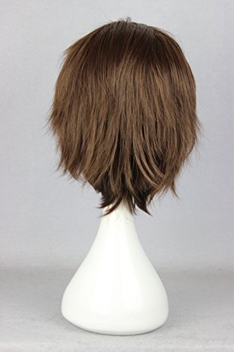 12"/30Cm Brown Short Straight Synthetic Wig For Men Women Daily Party Cosplay Wigs With Free Wig Cap #TOP2