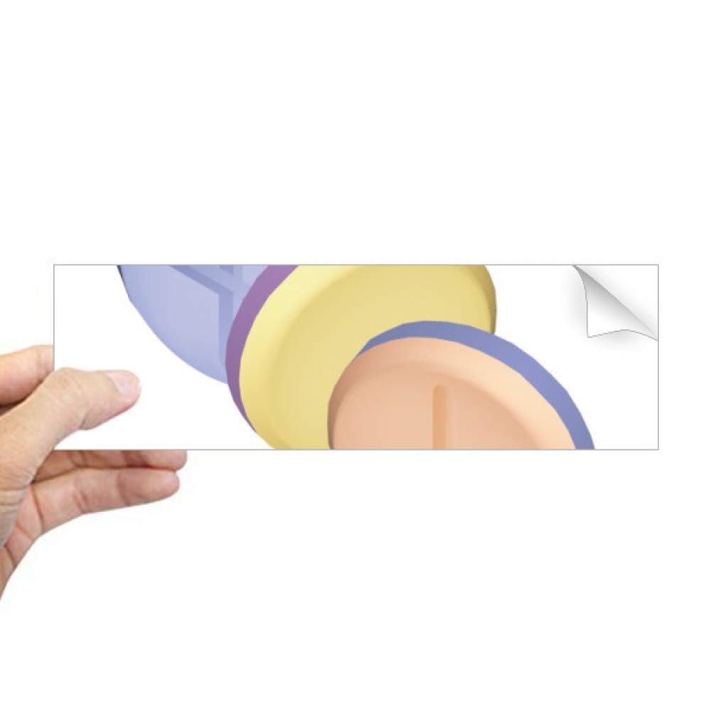 Sticker rectangulaire pour fenêtre pilule autocollant vitrage