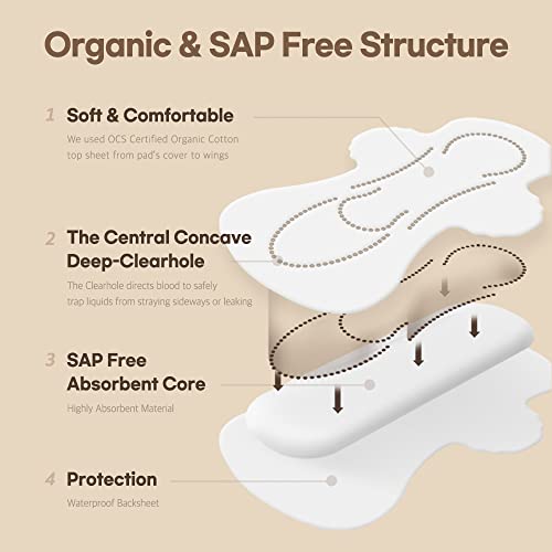 Sandeulsandeul Sensitive Plus Organic Pads Long/Large - Heavy Absorbency, Unscented, Organic Pads For Women, Organic Pads With Wings, Organic Cotton Pads, Organic Feminine Pads #TOP1