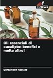 Oli essenziali di eucalipto: benefici e molto altro!