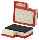 WIX WA10316 Engine Air Filter Compatible With Ford Transit Van (15-18)