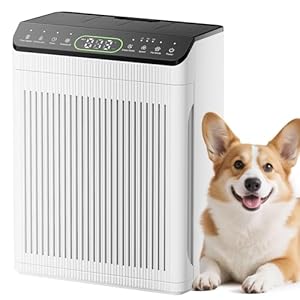 Luftreiniger für Allergiker, Air Purifier für Wohnung Raucherzimmer, 200 m², Luftreiniger mit Aromatherapie, PM 2,5 Luftqualitätsmonitor für Rauch, Staub und Gerüche, Weiß, 1 Pack + 3 Modi