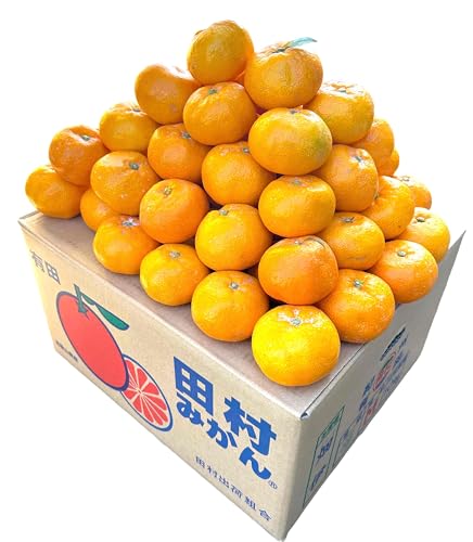 yLc݂ zx݂ a̎RYuhwRLx`̋Ïk ɔ݂ S-LTCY n Iʍ Љϔ  ӂ邳ƍĐs Mtg N wn݂x茳ւ͂ 