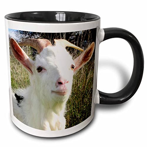 3dRose Taiche Photography - Farm Animals Goat 11oz Two-Tone Black Mug