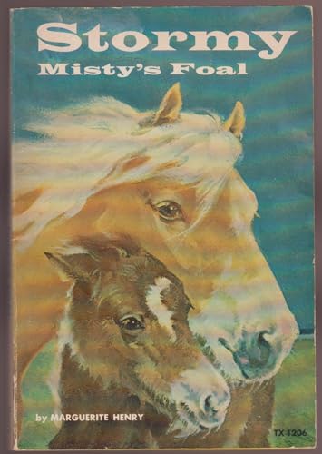 Stormy, Misty's Foal B000I4EUPE Book Cover