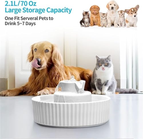 Fuente de Agua Automática para Gatos 2.1L REAGAR miniatura 4