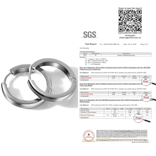TGNEL Large Mens Titanium Hoop Earring for Sensitive Ears, Fashion Brushed Titanium Earrings Hoops for Men Bevel Silver4