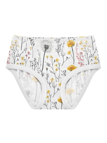 ZZKKO Country Wildflowers Girls Underwear Toddler Panties for Girls Comfort Brief Size 2T