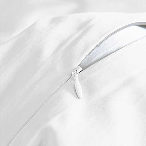 Thxsilk 4 Piece Silk Comforter Set For Summer - White, King - Soft, Light Weight - Include 1 Pure Silk Filled Comforter, 1 400Tc Removable Cotton Sateen Cover, 2 Pillowcases #TOP4