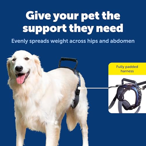 PetSafe CareLift Rear Support Harness - Lifting Aid with Handle and Shoulder Strap - Fits Waist Measuring 27-37 inches, Dog Weight 70lb-130lb, Large, Black by PetSafe - Image 3