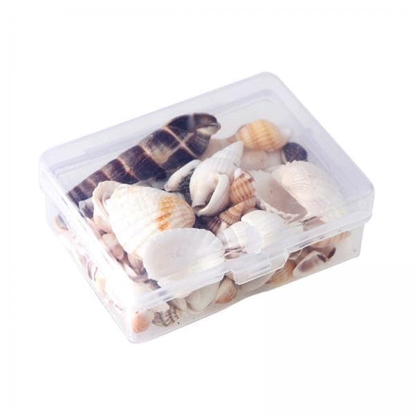 SNAPPSY 2x1Box Natural Conch Shell Loose Bead for DIY Necklace Bracelet Jewelry Making-image-30