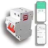 Aulifants Heavy Duty Smart WiFi Switch Breaker, Miniature Circuit Breaker MCB, AC110~230V 63A APP Voice Remote Control, Timer, Short Circuit Overload Protection, Amazon Alexa, Google Assistant. (2P)