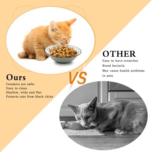 Bols pour chat d'intérieur en céramique colorée pour repas et eau - 11