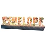 Lettre personnalisée fleur éternelle veilleuse résine nom personnalisé cristal fleur séchée lampe à la main base en bois décoration de la maison ornement pour toujours cadeau pour maman femmes mariage