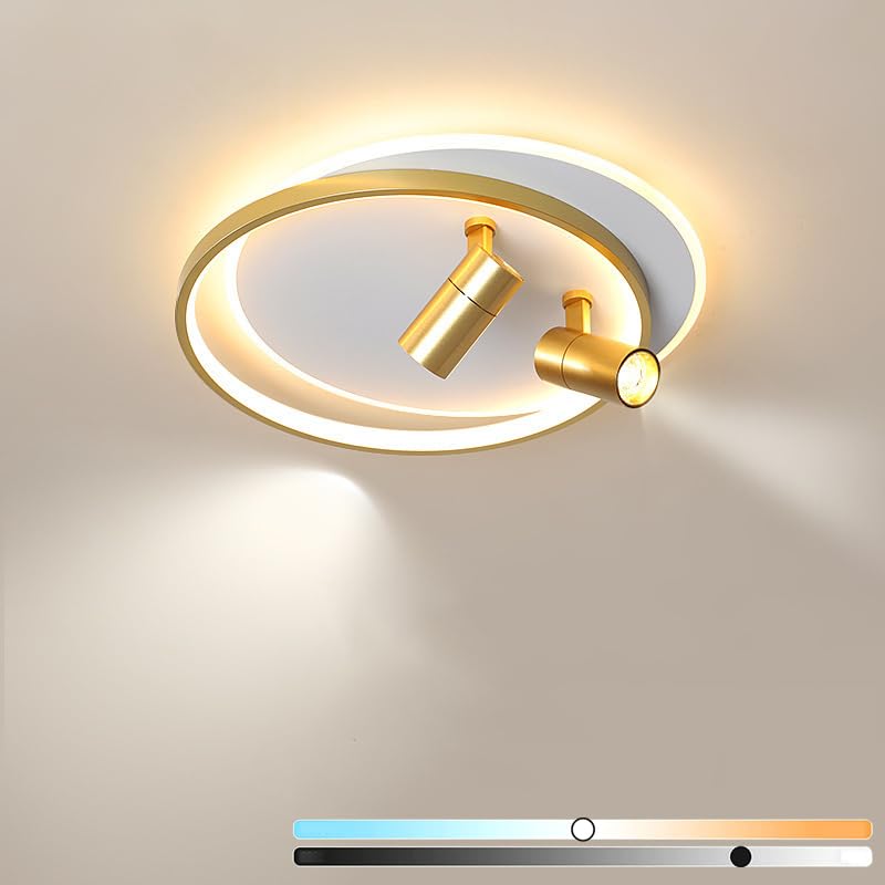 Spot de plafond cuisine et grand plafonnier LED moderne dimmable 46W 10W