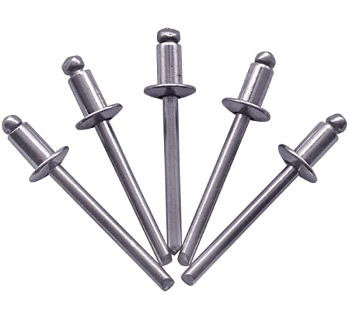 SKIR'CO Paquete de 100 remaches ciegos de acero inoxidable de 4,8 x 8 mm, cabeza de cúpula, remaches pop, DIN 7337, remaches A2 (100, 4,8 x 8 mm)