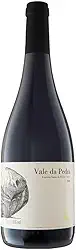 Vinho Tinto Guaspari Vale da Pedra Syrah