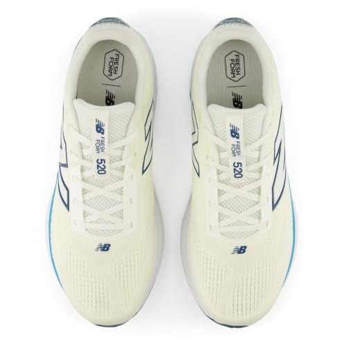 Image of New Balance Men's Fresh Foam 520 v9 Running Shoe