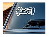 UR Impressions Groovy Native Florida Silhouette Decal Sticker Vinyl Graphics for Car Truck SUV Motorcycle Window|White|6.5 X 2.2 inch|URITM114