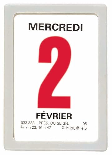 OBERTHUR - 1 Bloc Calendrier à Effeuiller Ephémérides Neutre - Janvier 2026 à Décembre 2026 - Dimension 9.2 x 6.3 cm - Boitier Couleur Aléatoires (gris, rouge ou bleu)