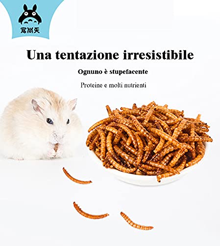 JONSANTYGFRY Cibo per Criceti Ricci, cincillà, lucertole, Rane, Uccelli, Ricci, Snack nutriente, ad Alto Contenuto proteico, Verme del Pane Cotto