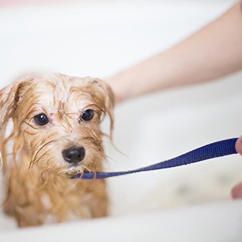 Aticnech Slip Lead Dog Leash - 10 Pcs Colorful 6 Ft Short Dog Leashes With O-Ring For Small Large Dogs Puppy Cats Walking Training Running Rescues Grooming Shelter,Etc. #TOP5