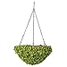 Vickerman Everyday 12' Indoor Artificial Green Mini Leaves Hanging Basket - Realistic Looking Colorful Foliage of Durable Polyester - Maintenance Free