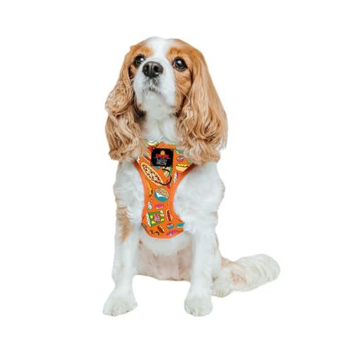 Sassy Woof Dog Adjustable Harness - Garfield™ - S, Breathable Mesh, No Pull Design with Two D-Rings, Patented Design, Perfect for Small Dogs and Puppies - Officially Licensed