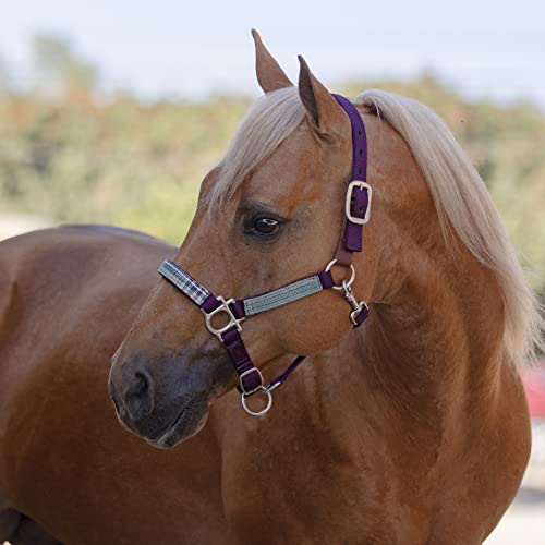 Kensington Tamanho Premium Breakaway Halter Size: XL-Lrg. Cor do cavalo: 2019 - Jade Imperial