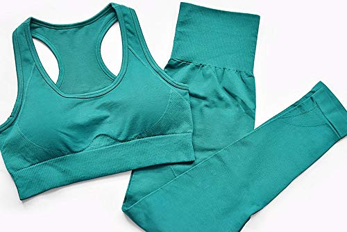 Hotexy Women\'s Workout Outfit 2 Pieces Seamless Yoga Leggings with Sports Bra Gym Clothes Set