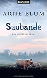 Cover zum Buch Saubande
