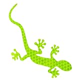 SOYDAN