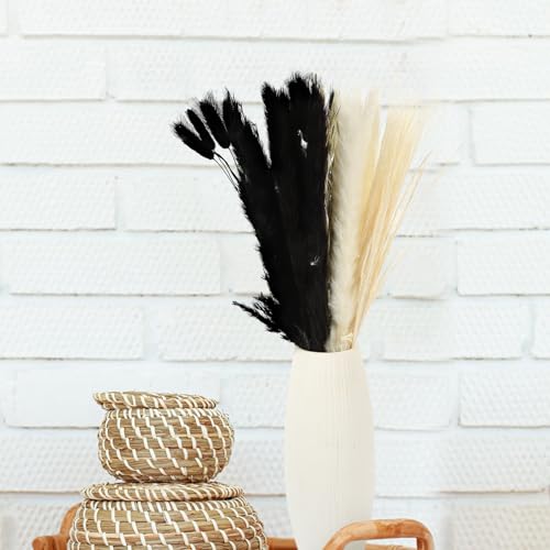 Set Ramo de Caña Preservada Secada para Decoración miniatura 7