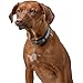 HUNTER VARIO PLUS Hundehalsung, Hundehalsband, Zugentlastung, robust, geschmeidig, Klickverschluss, M-L/2,0, braun