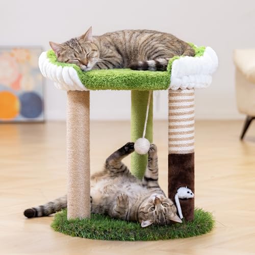 Cat Scratching Post with Cat Bed,Cat Scratcher Tree,Small Cat Tree | Green Kitty Tower,Removable Washable,Cat Perch,3 Sisal Posts,for Indoor Cat