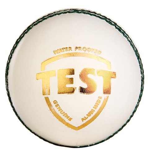Balle de cricket en cuir blanc SG Test White Cricket Sports Collection