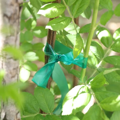 Easytle Stretch Tie Tape Roll, Total 2 Rolls 0.5“ x 150 Ft & 1\" x 150ft Green Plant Garden Tie Tape Reusable Thick Sturdy Plant Ties Ribbon Garden Vinyl Stake for Indoor Outdoor Patio Plant Use