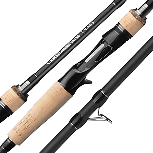 Canne à pêche en carbone au lancer pour carnassiers sandre et brochet