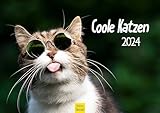 Edition Seidel Premium Kalender Coole Katzen 2024 Format DIN A4 Wandkalender Katzenkalender Tiere mit Sprüchen Katze lustige Sprüche Motivation