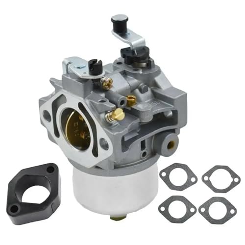 Carburateur adapté BS 491912 161432 pour l'entretien du jardin