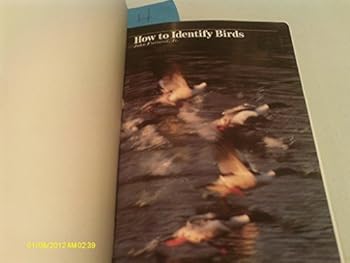 How To Identify Birds An Audubon Handbook 1988