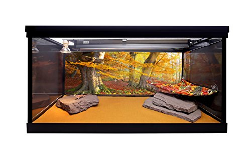 Carolina Custom Cages Natural Habitat Rocks, Deep Maroon, Medium Size Pair #TOP4