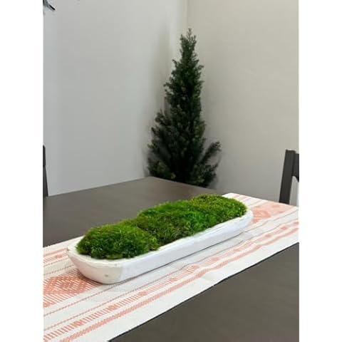 VRFUI Rustic White Moss Dough Bowl, Centerpiece for Dining Table, Preserved Moss, 19" Wooden Bowl, Housewarming Gift, Table Decor Cover