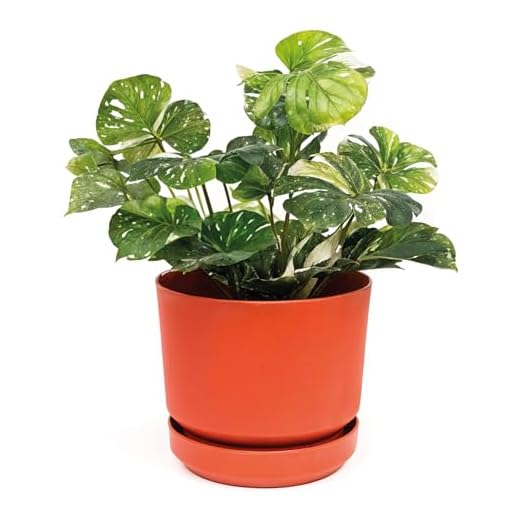 Elly Décor 12 inch Plastic Cylinder Planter Pot with Self-Watering Saucer and Drainage Hole,Lightweight & Extremely Durable, 12"x 12", Terracotta