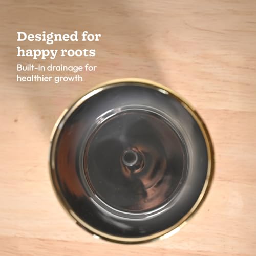 Image of UGAOO Crown Ceramic Pot - 5 Inch | Ceramic pots for Indoor Plants | Flower Pot for Garden Ceramic | Ceramic planters for Home Decor (Silver)