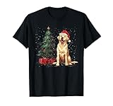 Vous aimez le chien labrador ou vous voulez utiliser un pyjama de Noël Labrador Dog ? Si oui, obtenez cette drôle de tenue de Noël Père Noël Labrador pour hommes, femmes, filles, enfants, fêtes de Noël avec la famille et les amis, joyeux Noël.