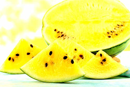 Raise Me Up: Seeds Yellow Doll Watermelon Non Gmo Heirloom #TOP3